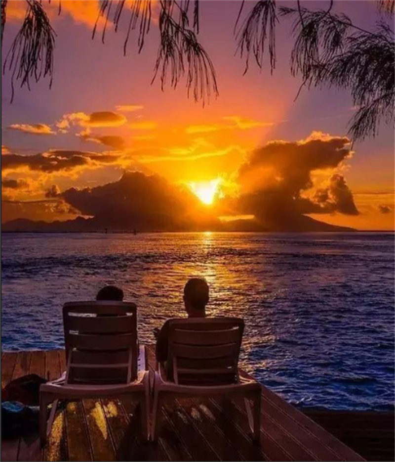 活動(dòng)預(yù)告丨閱享“夕陽紅”系列活動(dòng)（11月）